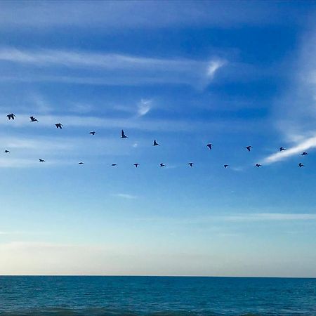Matices Del Mar En Canoas Canoas de Punta Sal Zewnętrze zdjęcie