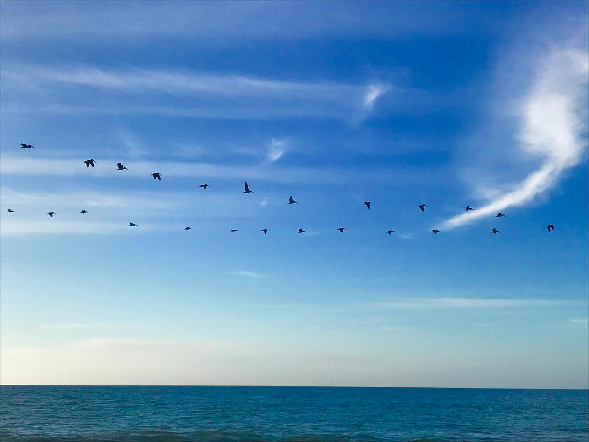 Matices Del Mar En Canoas Canoas de Punta Sal Zewnętrze zdjęcie